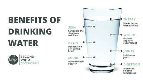 Functions of Water: 7 Health Benefits .